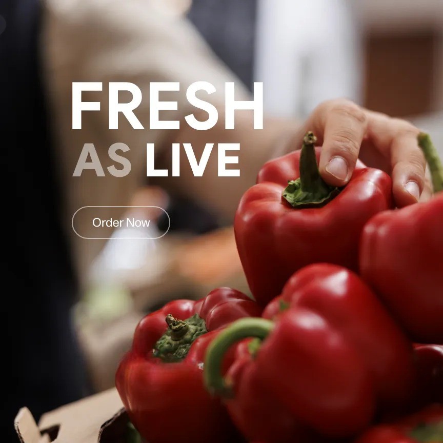 Boma WorkingTools promo